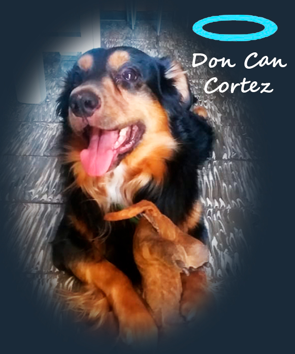 Don Can Cortez